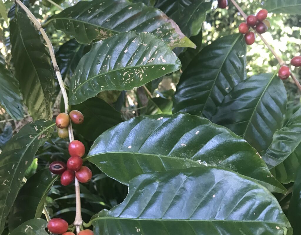 8EC3A18F-3E79-4D93-A224-DBD61C5A4AB3