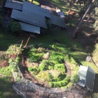 The Qdos kitchen  garden