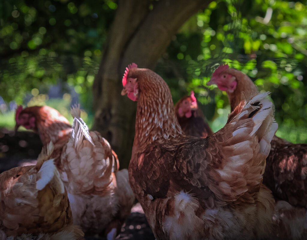 9969EBC2-CDCC-4417-B2FF-D8813D8F919B-13807-0000022B96FD77B1