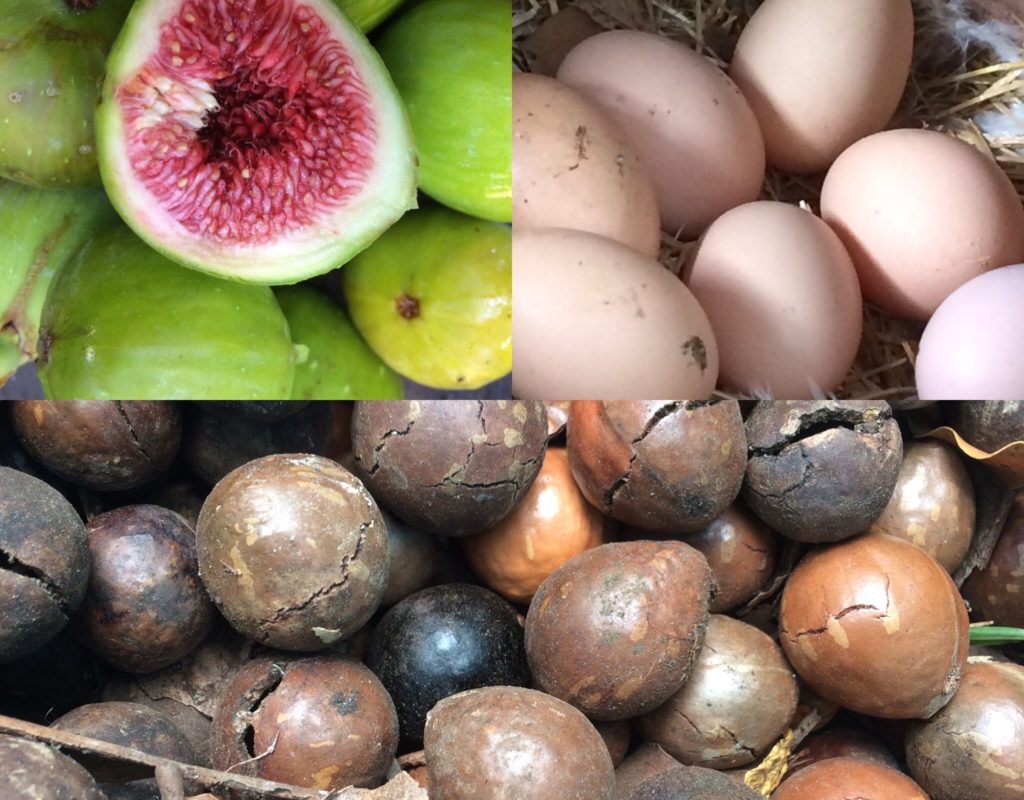 Free-range, Organic and Home grown