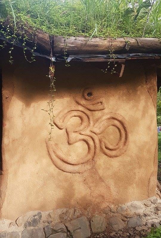 Earth hut living roof march 2018