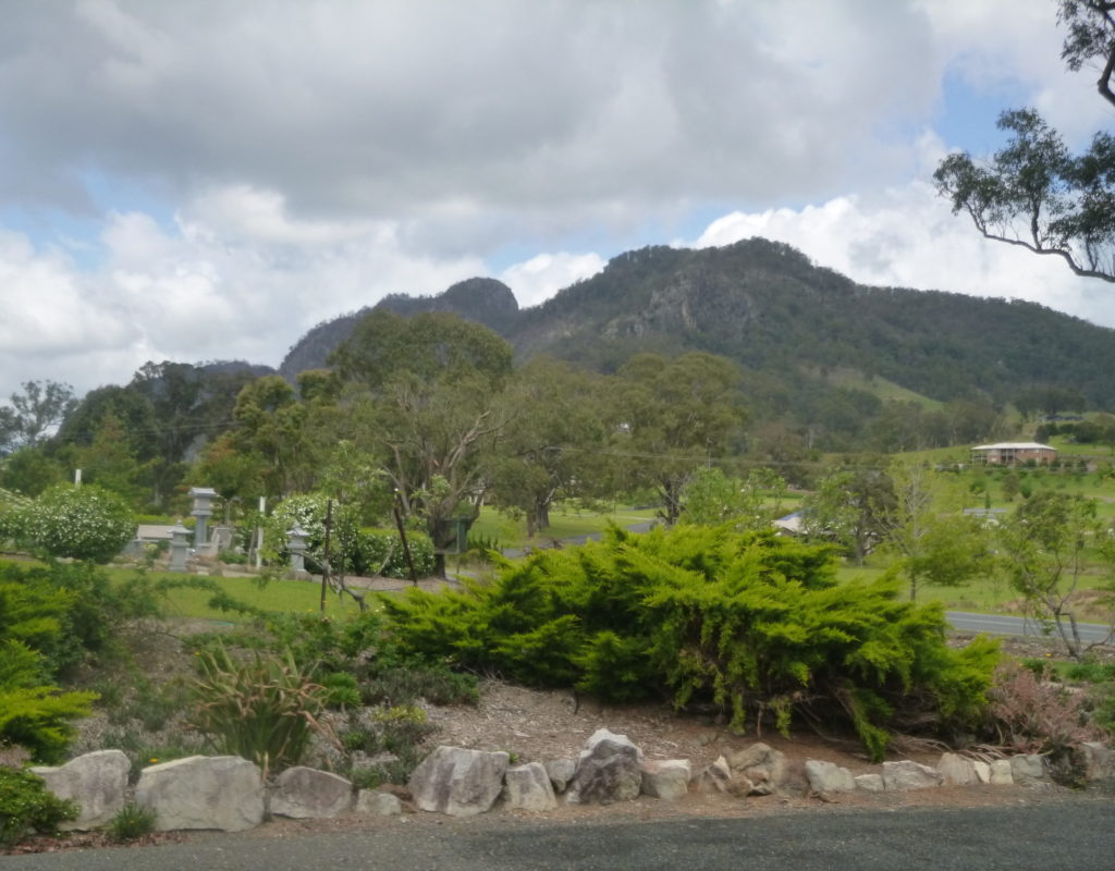 The view of the Bucketts Mountains from our house