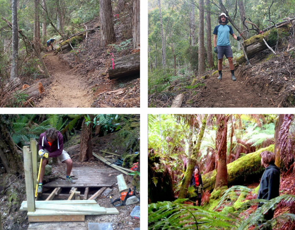 Walking track building in the forest