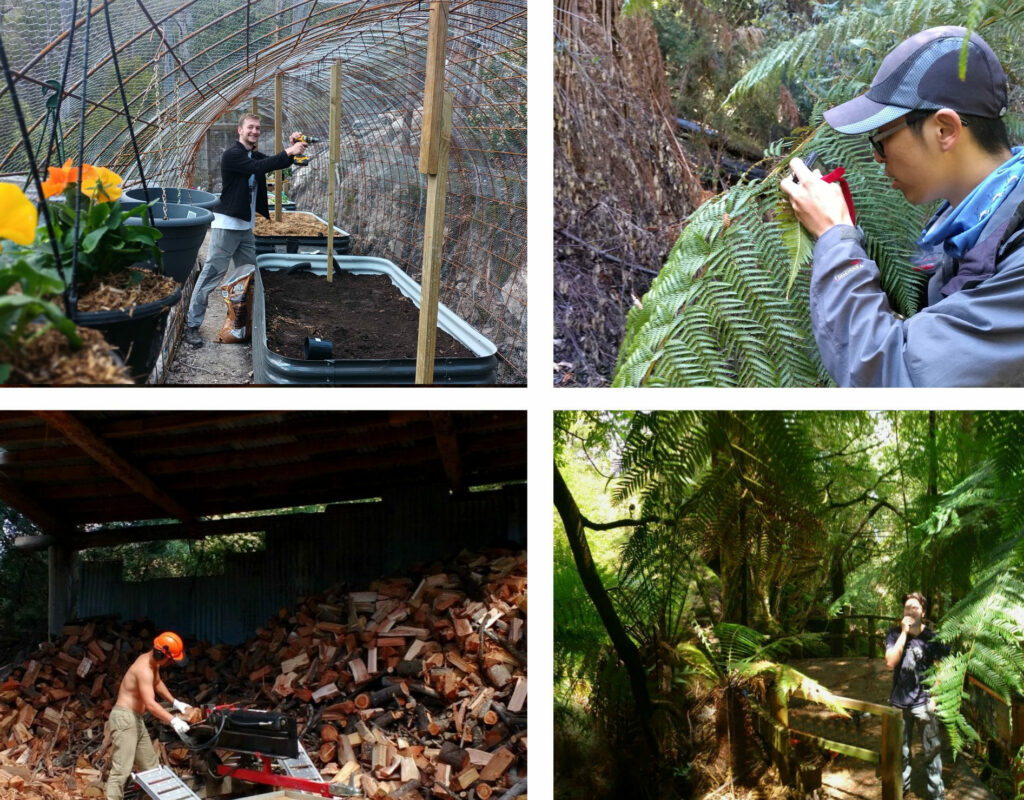 Wwoofer activities 01