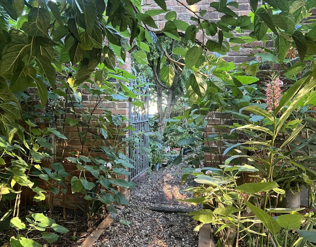 21792C39-8294-43BB-B603-A0A355C7C3DD