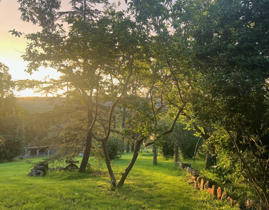 2A9D608D-28E7-4C58-810A-4C3B5BFB4648