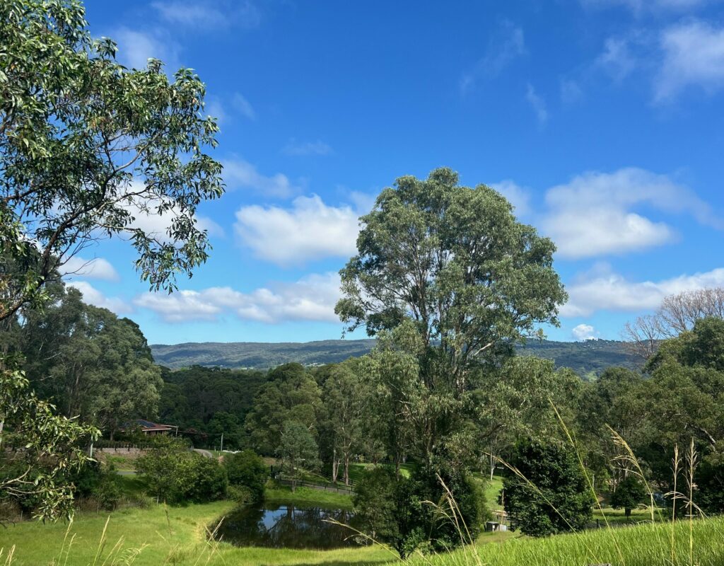 66797CAA-9657-4F93-AD62-8BF8D9E5A700