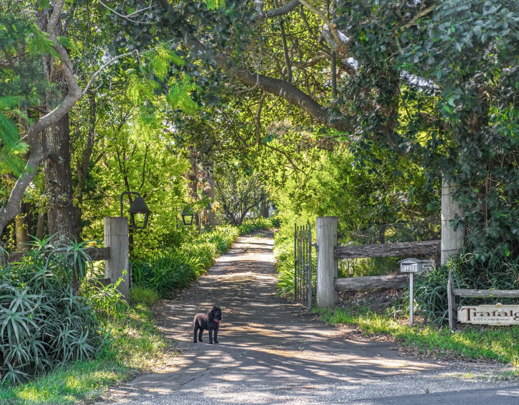 Trafalgar Front entrance