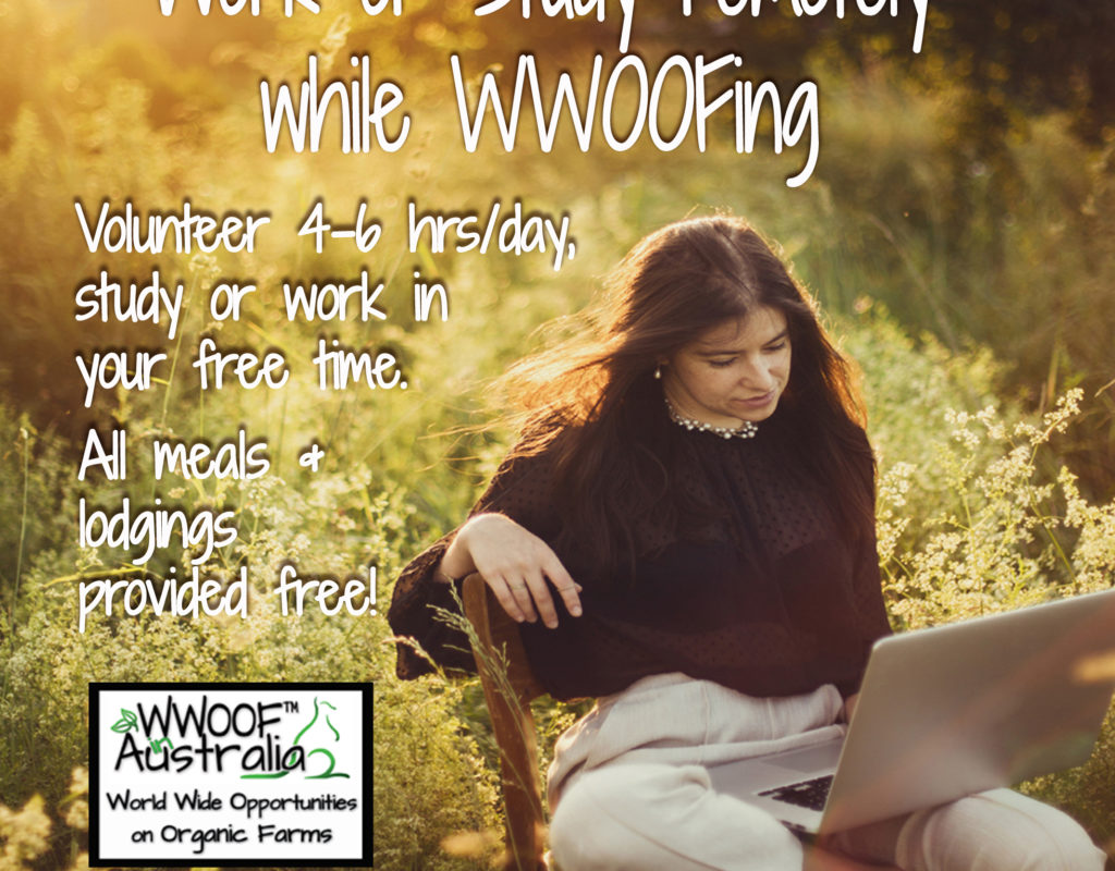 Work or Study remotely WWOOFing