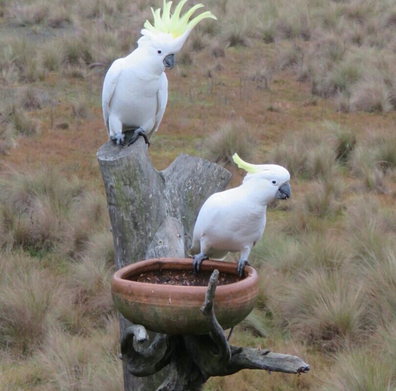 Breakfast at Potters
